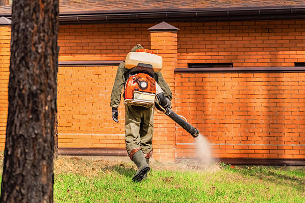 Top rated local Cockroach Control specialists in Cheat Lake, WV